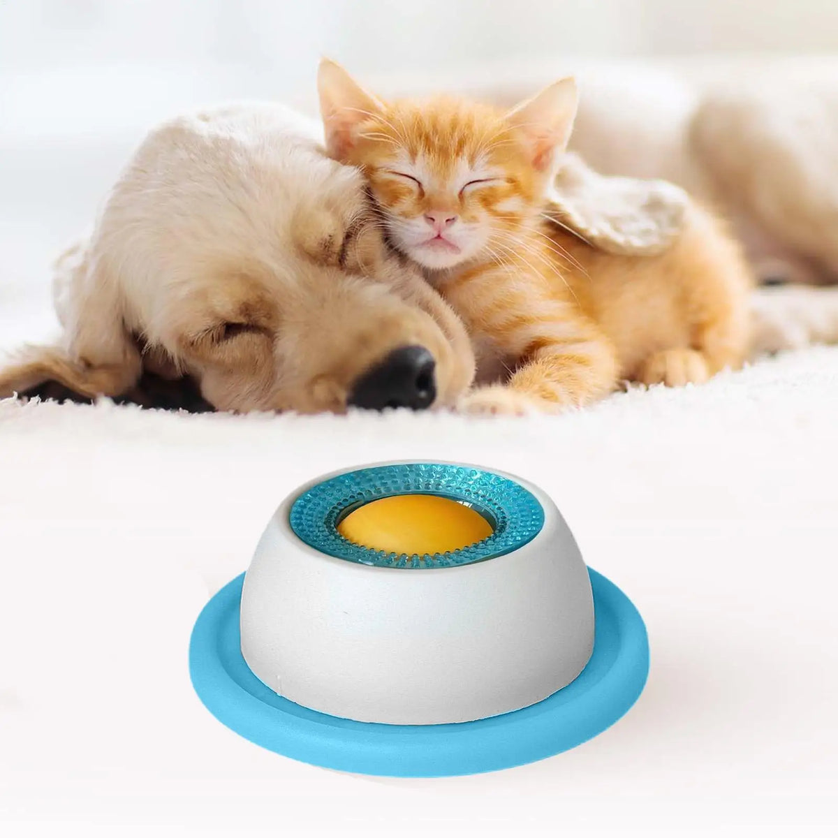 Pet Feeding Accessories Dog Treat Toy Puzzle Toys
