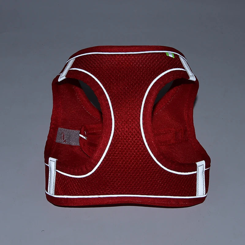 Dog Harness Leash Set for Small Dogs Adjustable Leash