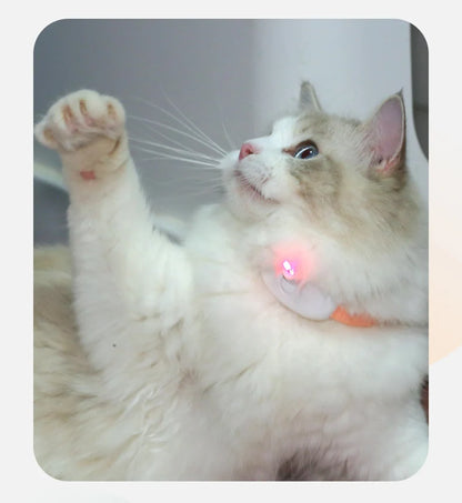 Laser Cat Collar Teasing Cat Electric USB Charging Kitten