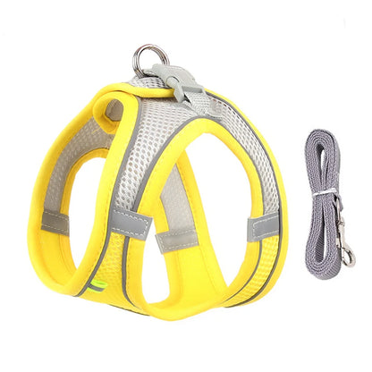 Dog Harness Leash Set for Small Dogs Adjustable Leash