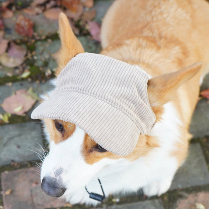 Fashion Big Dog Baseball Cap Durable Corduroy Sun Hat
