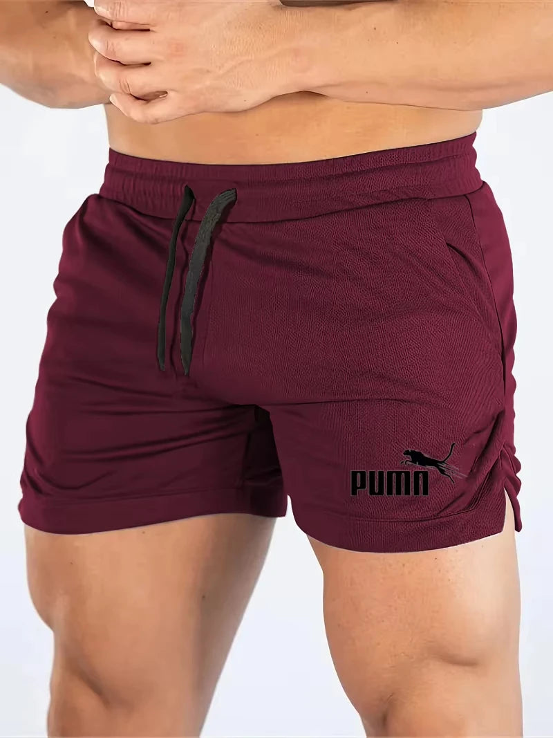 Summer Mesh Quick Drying Shorts Men's Sports