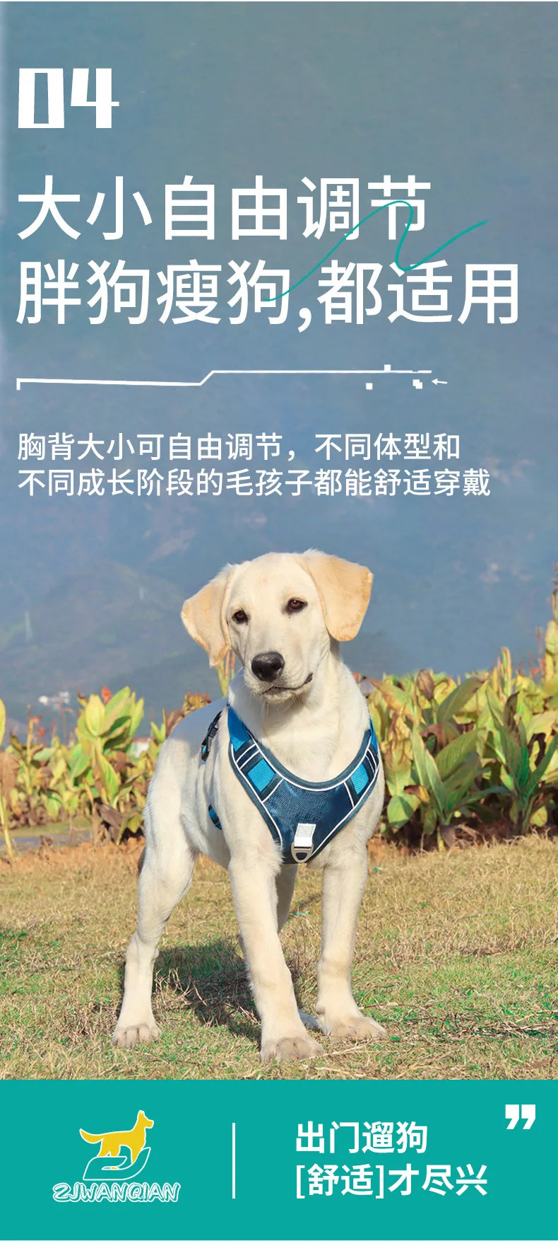 Automatic retractable dog leash with chest and back strap