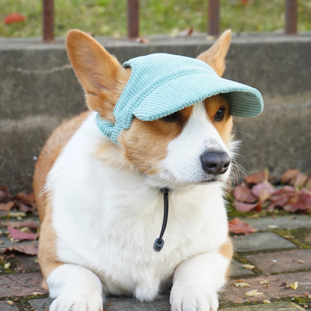 Fashion Big Dog Baseball Cap Durable Corduroy Sun Hat