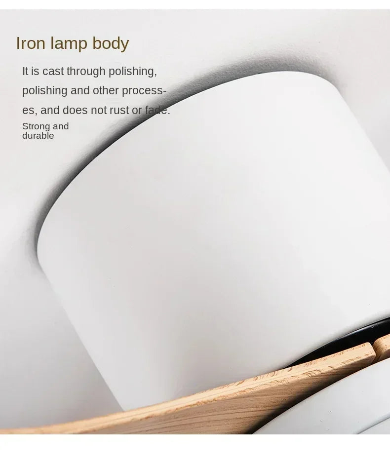 Modern LED Ceiling Fan Lights, Low Floor Decorative Lights