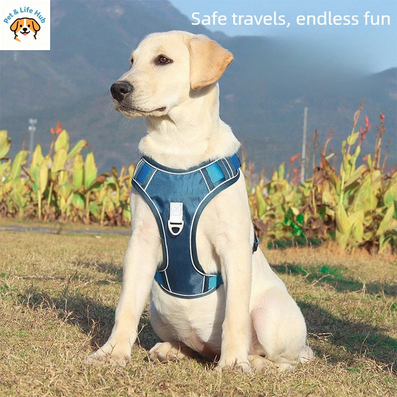 Automatic retractable dog leash with chest and back strap