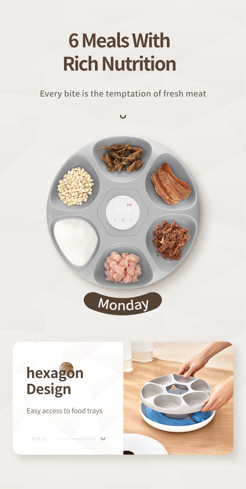 6 Meals Automatic Pet Feeder Smart Cat Food Dispenser