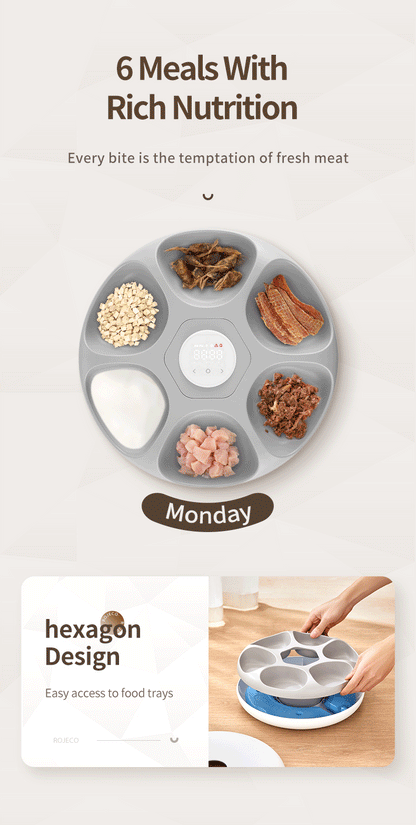 6 Meals Automatic Pet Feeder Smart Cat Food Dispenser