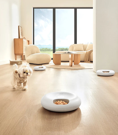 6 Meals Automatic Pet Feeder Smart Cat Food Dispenser