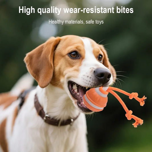Cat Dog Interactive Ball Toy Automatic Rolling Ball