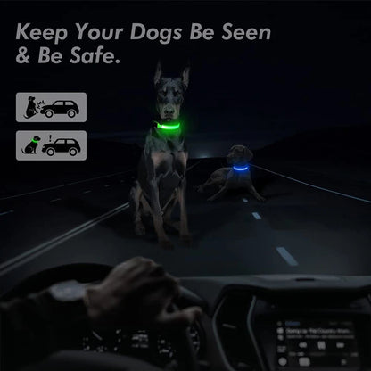 Usb Charging Glowing Dog Collar With Pendant Detachable