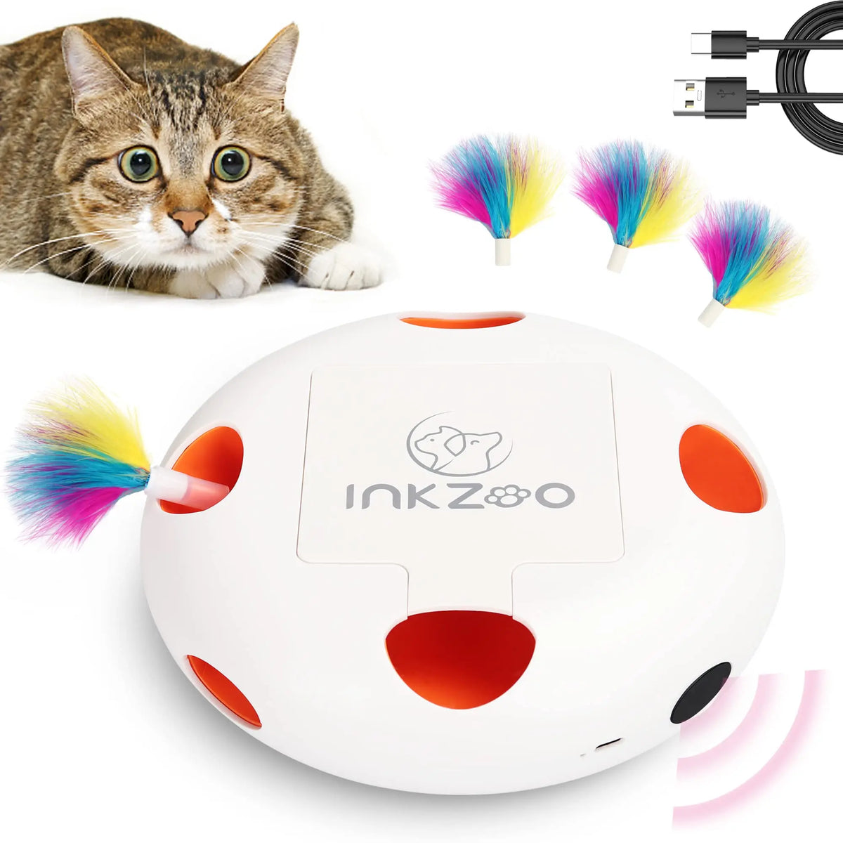 INKZOO Cat Toys, Interactive Cat Toys for Indoor Cats,