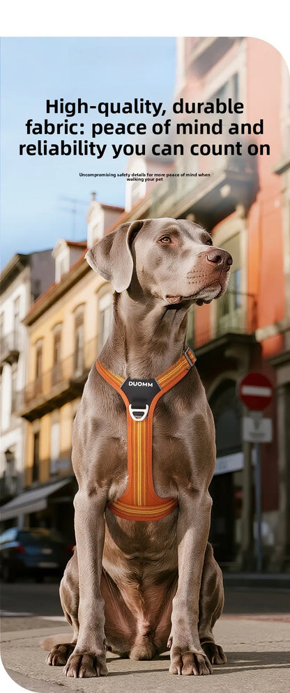 Car Safety Dog Harness with Dual Handle Quick Release