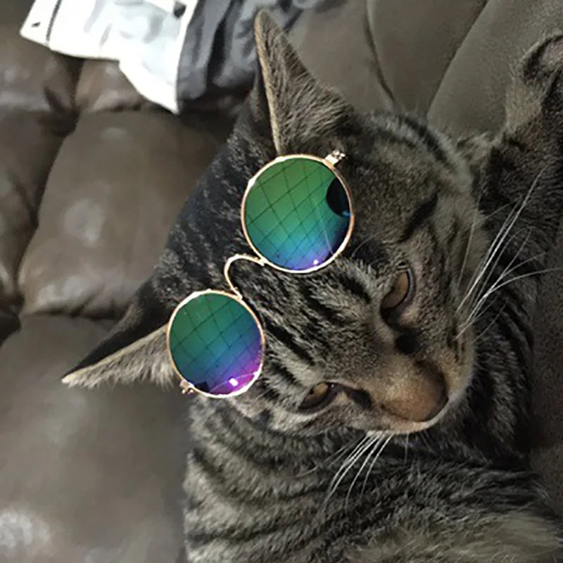 Lovely Vintage Round Cat Sunglasses Reflection Eye wear
