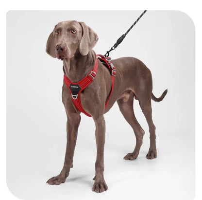 Car Safety Dog Harness with Dual Handle Quick Release
