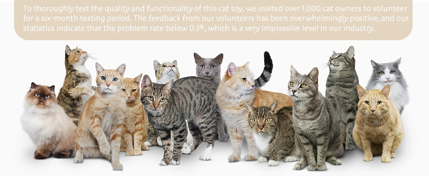 Interactive Cat Toy Automatic Toys 3-in-1 Electric Toy