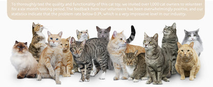 Interactive Cat Toy Automatic Toys 3-in-1 Electric Toy