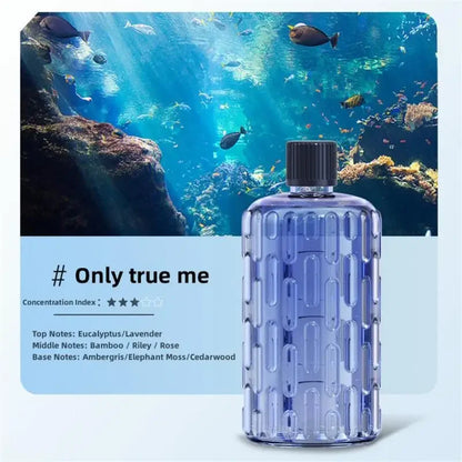 Aroma Diffuser Humidifier Fragrance Essential Oil Aromatherapy