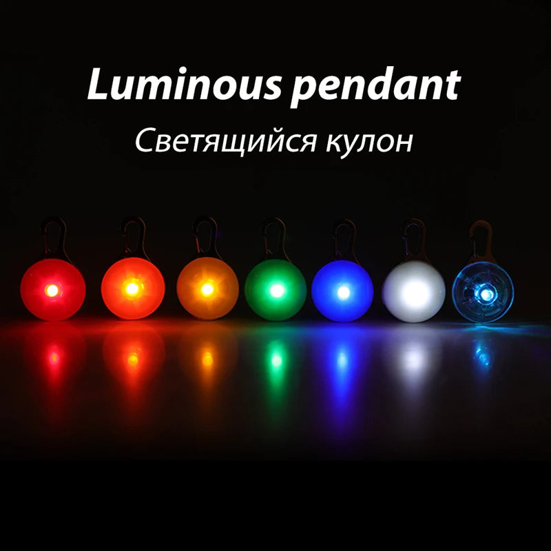 Usb Charging Glowing Dog Collar With Pendant Detachable