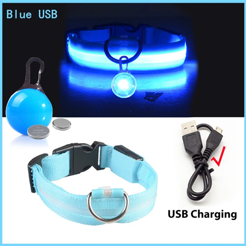 Usb Charging Glowing Dog Collar With Pendant Detachable