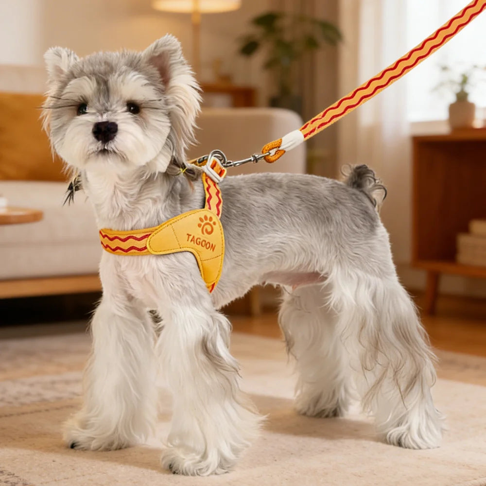 Puppy Harness Wear Simple Mesh Breathable Outdoor