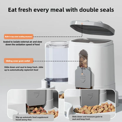 Cat Bowl Automatic Feeder with Spill Proof Design with Water Fountain