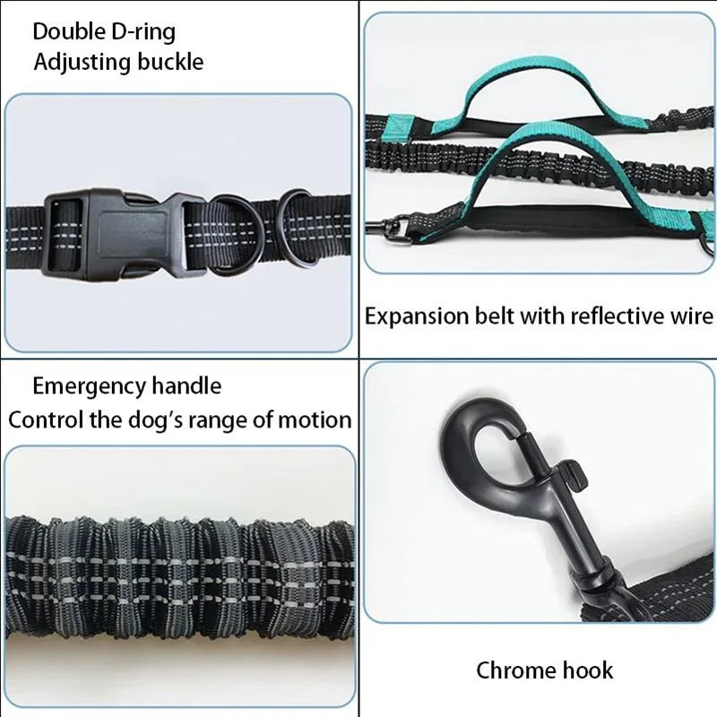 Double elastic reflective running leash portable