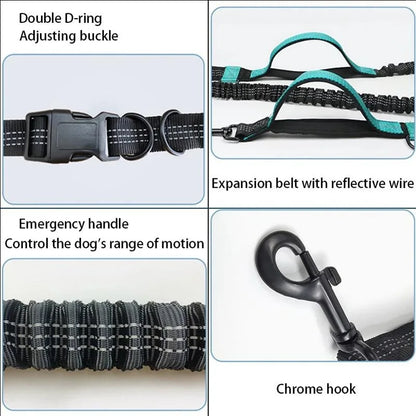 Double elastic reflective running leash portable