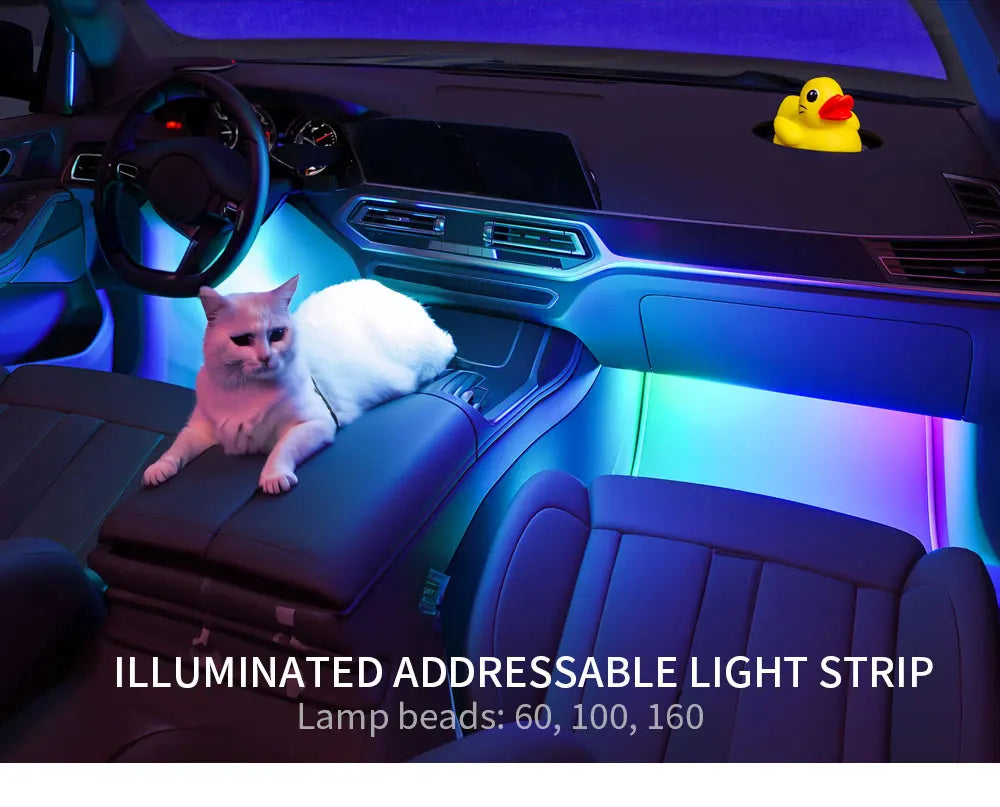 WS2812B COB LED Strip Individually Addressable Smart RGB