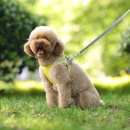 Puppy Harness Set Dog Accessories Adjustable Harness
