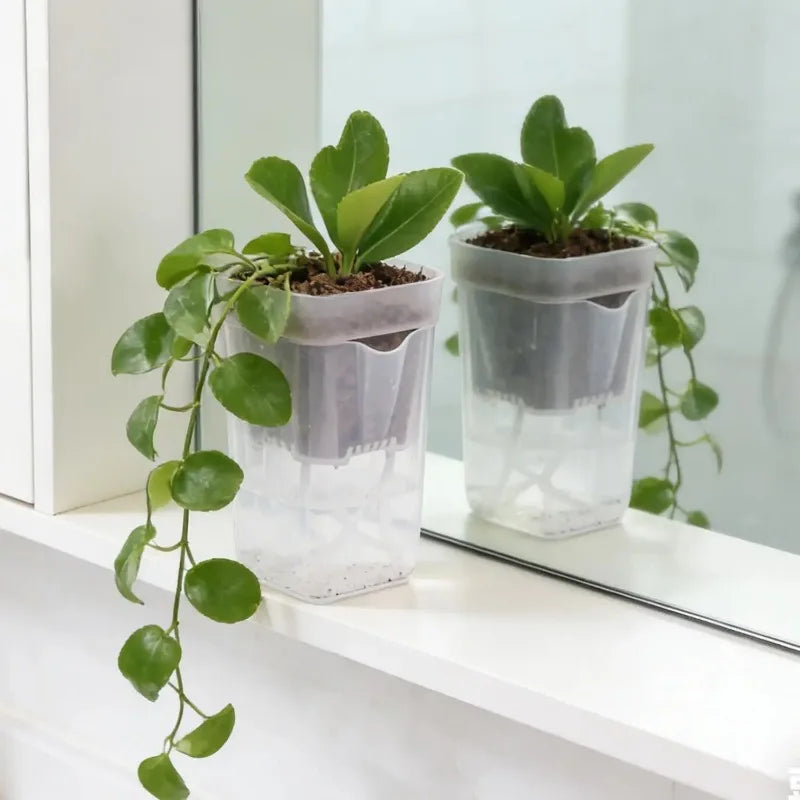 Transparent Flower Plant Pot Self Watering Planter