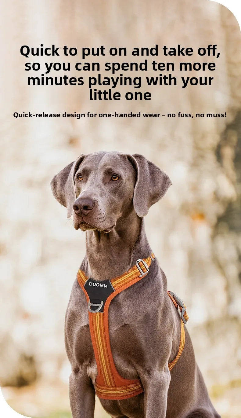 Car Safety Dog Harness with Dual Handle Quick Release