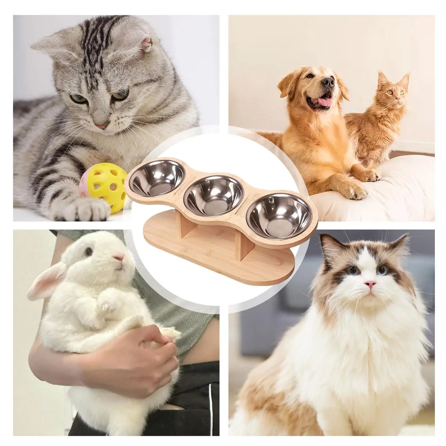 Elevated Cat Bowls Raised Wood Stand Feeder
