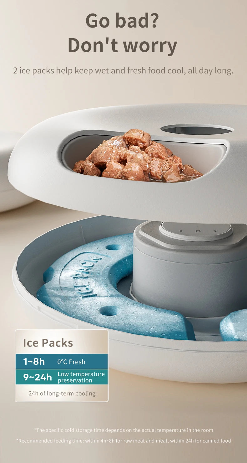 6 Meals Automatic Pet Feeder Smart Cat Food Dispenser