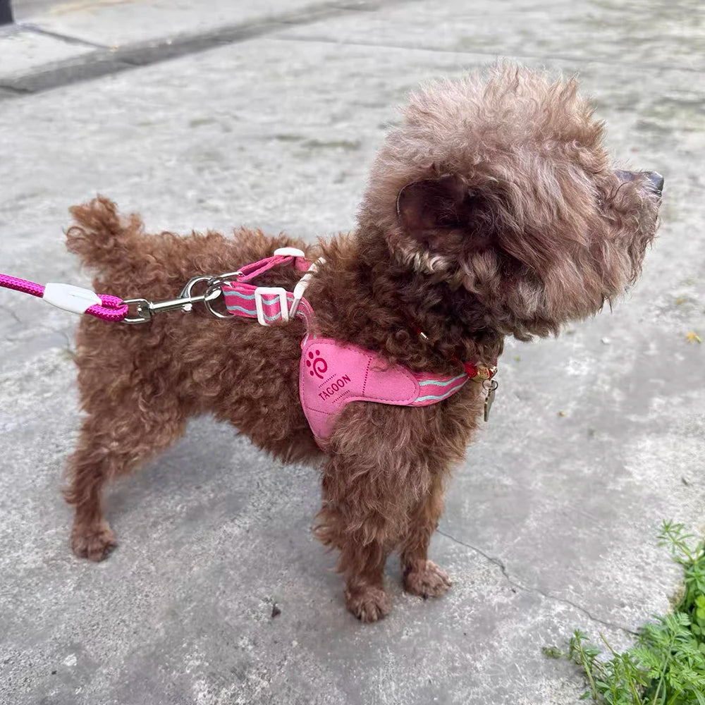 Puppy Harness Wear Simple Mesh Breathable Outdoor