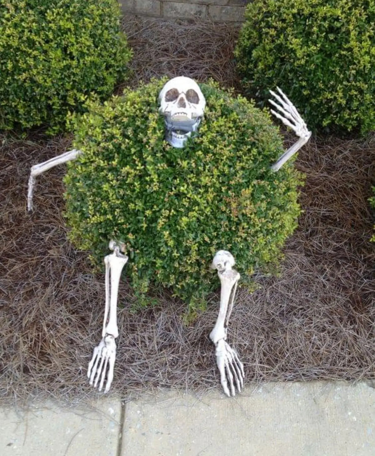 Halloween Decor Skeleton Stakes Halloween