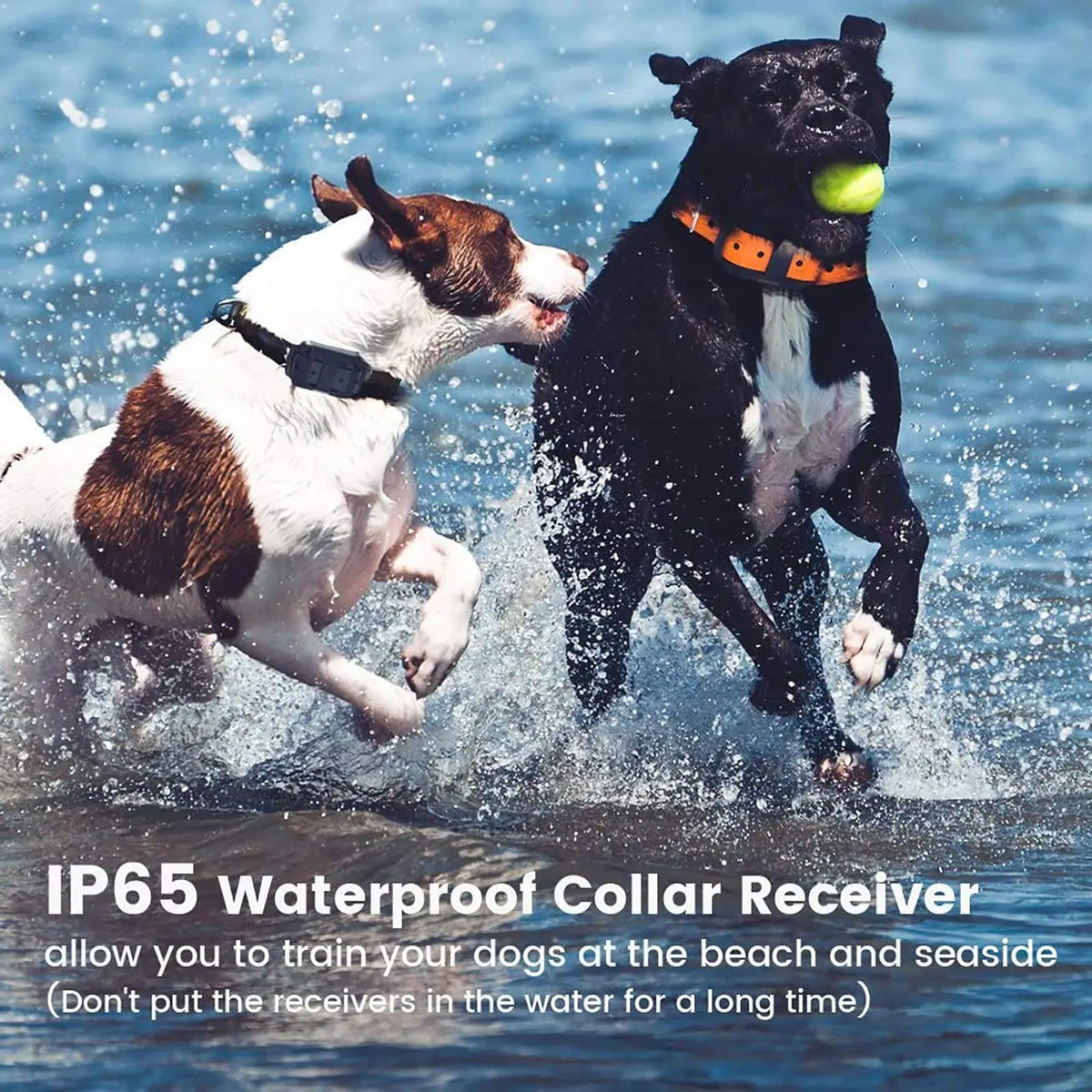Electric Dog Training Collar Waterproof Dog Bark Collar