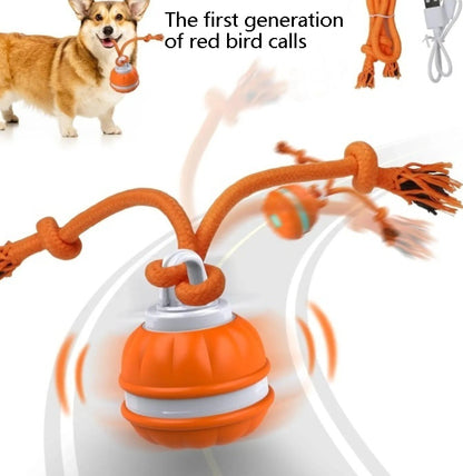 Pet Ball For Dogs Interactive Toys Motion Activate Rolling Ball