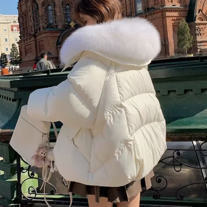 Down Cotton-padded Jacket Women's Short Fur Collar