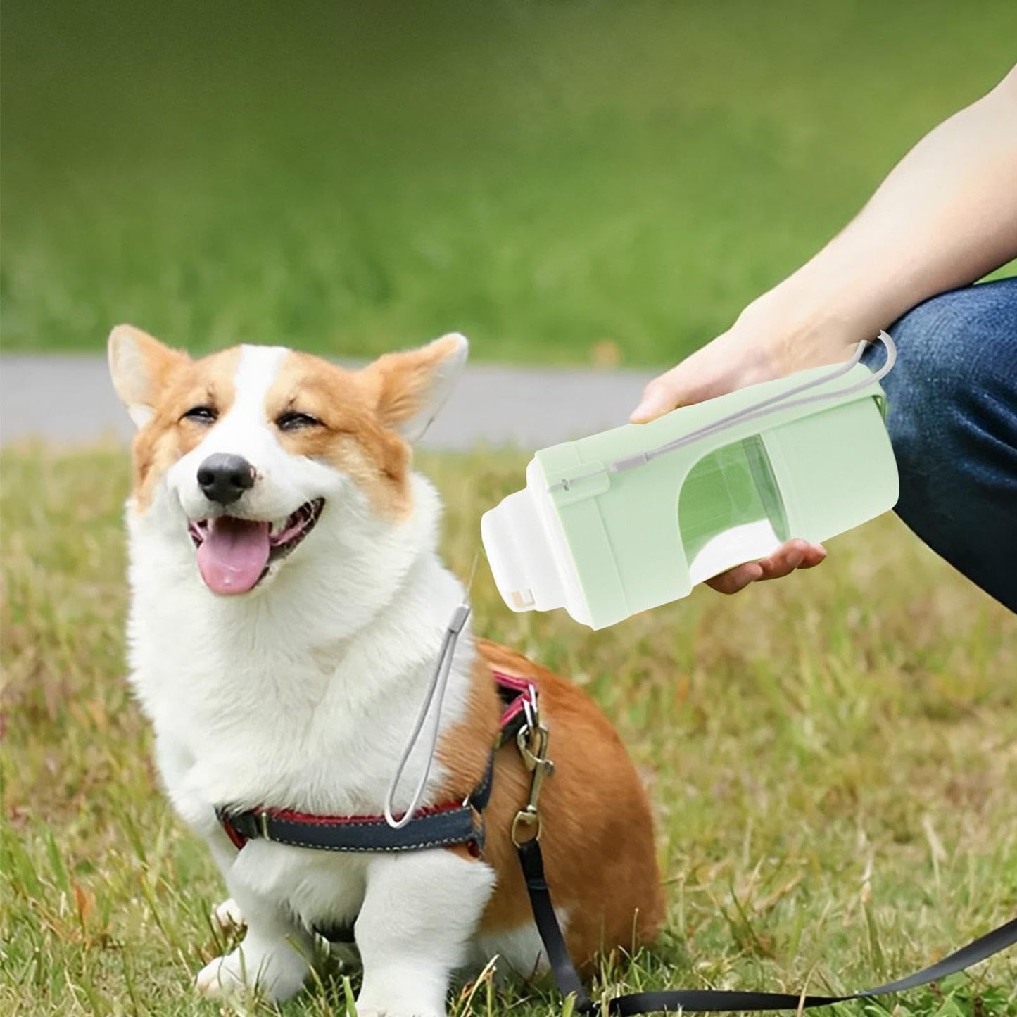 2 In 1 Travel Dog Water Bottle Pet Water Dispenser Feeder