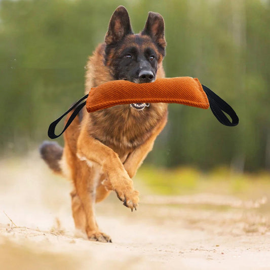 Dog Drag Toy Dog Jute Bite Pillow Durable Training Equipment