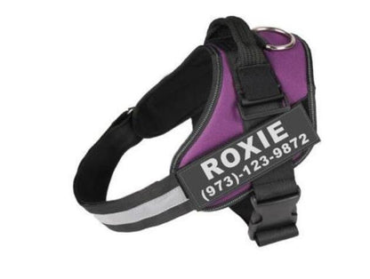 Personalized Dog Harness No Pull Reflective Vest