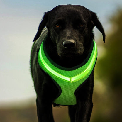 LED Luminous Dog Harness Led USB Charging Dog Chest Strap Vest