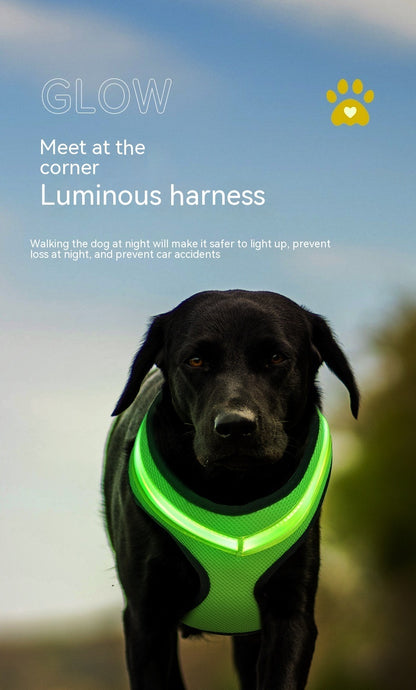 LED Luminous Dog Harness Led USB Charging Dog Chest Strap Vest