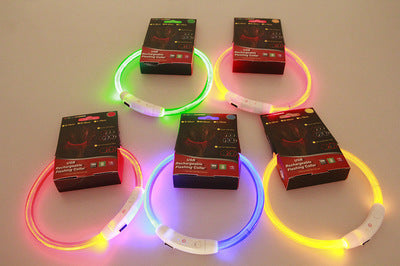 Pet Flashing Collar USB Rechargeable Glowing Necklace Safety Collar