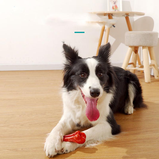 Pet Toy Chew Resistant Dog Molar Stick