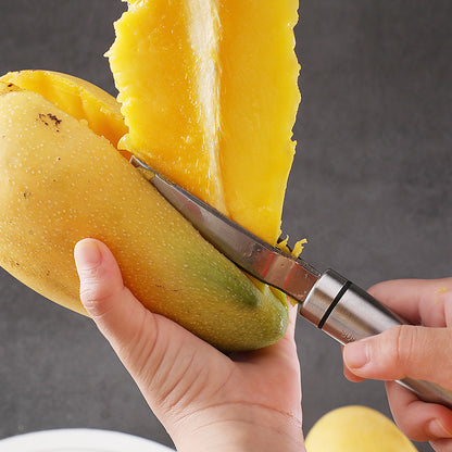 Stainless Steel Mango Corer Multi-functional Slicer