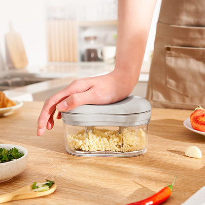 Household Multi-function Hand Push Garlic Press