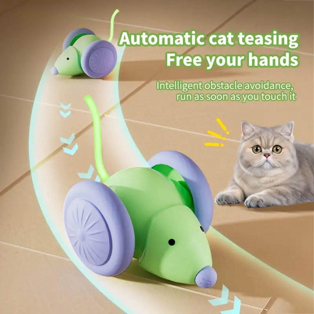 Pet Toys Interactive Cat Toy Electric Mouse Car - Automatic