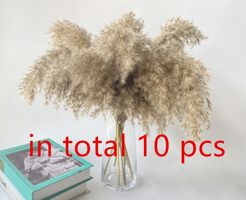 15 Pieces Dried Small Pampas Grass Flowers